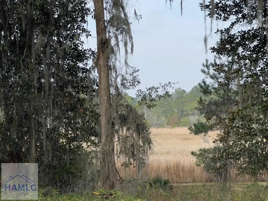 121 Salt Creek Road, Garden City, GA 31405 - Image #2