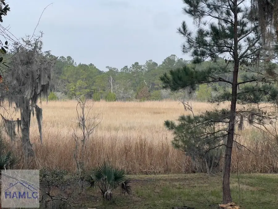 121 Salt Creek Road, Garden City, GA 31405 - Image #3