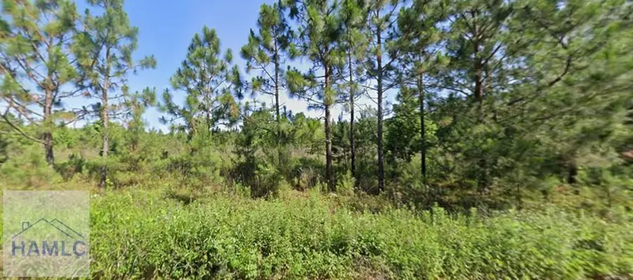 7 Henry Moxley Road, Cobbtown, GA 30420 - Image #2