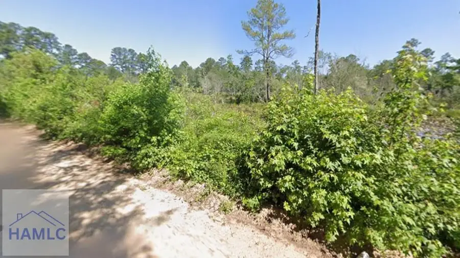 13 Henry Moxley Road, Cobbtown, GA 30420 - Image #3