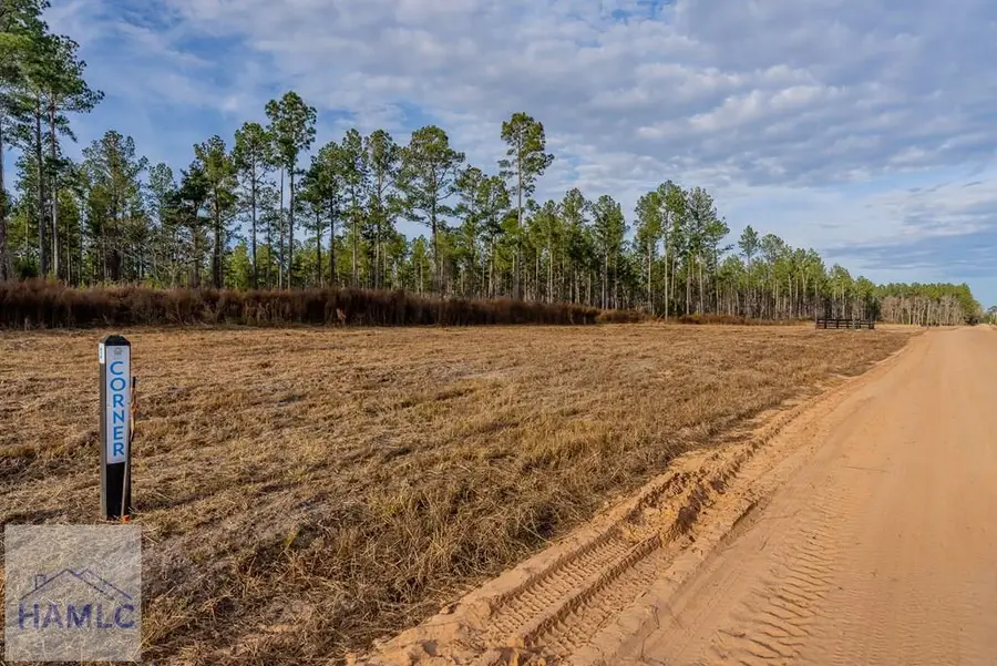 Lot 4 Arcola Road, Brooklet, GA 30415 - Image #2