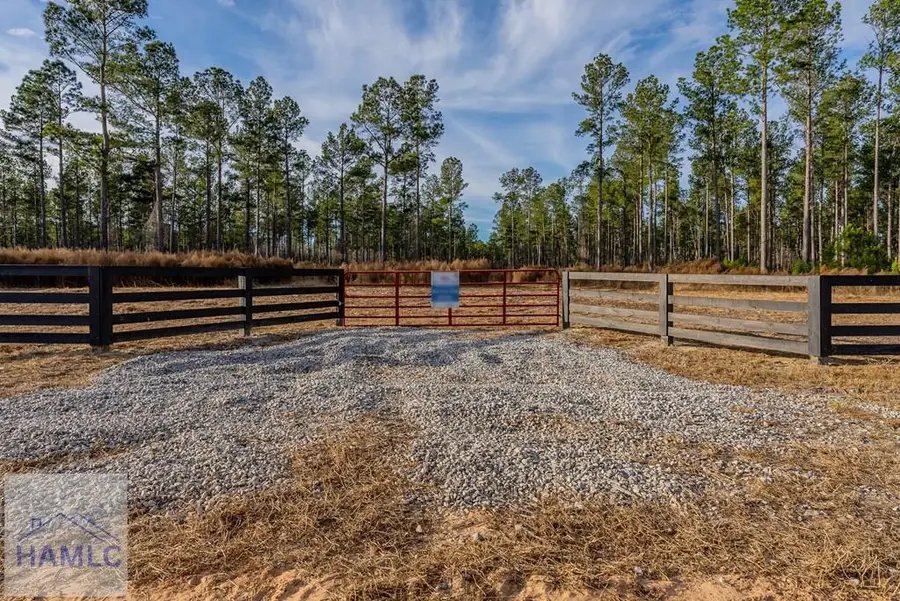Lot 4 Arcola Road, Brooklet, GA 30415 - Image #3