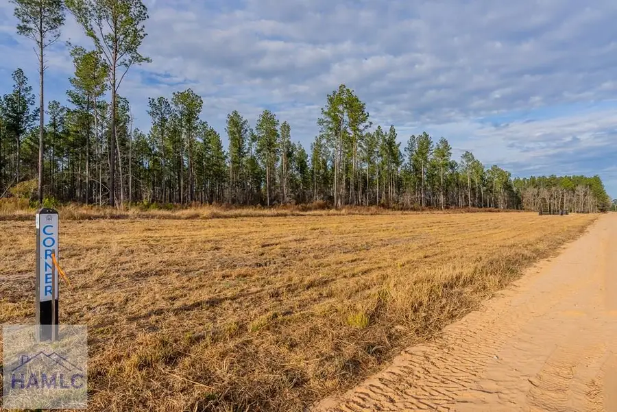 Lot 5 Arcola Road, Brooklet, GA 30415 - Image #2