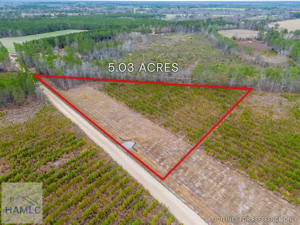 Lot 12 Bennett Grooms Road, Brooklet, GA 30415