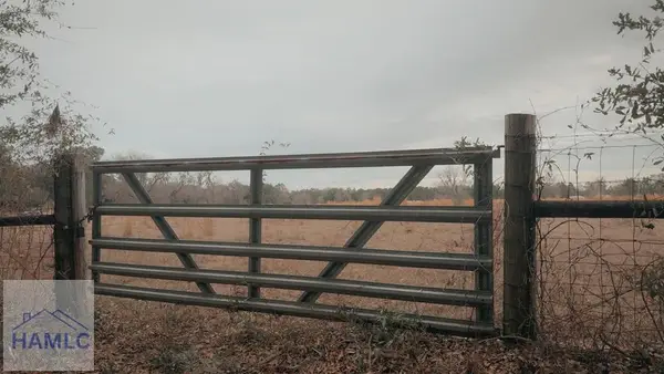 0 Sylvester Drive, Nahunta, GA 31553