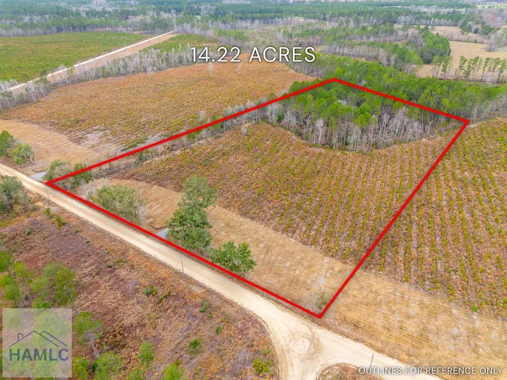 Lot 15 Bennett Grooms Road, Nevils Stilson, GA 31415 - #1