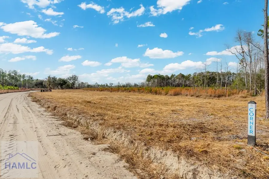 Lot 16 Lanes Church Road, Brooklet, GA 30415 - #2