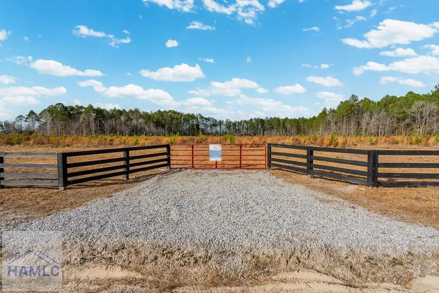Lot 16 Lanes Church Road, Brooklet, GA 30415 - #3