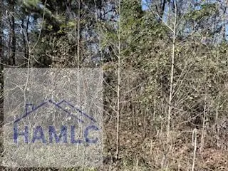 152-155 Dogwood Lane, Midway, GA 31320