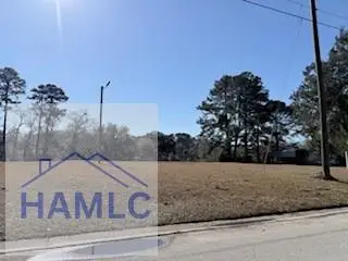 152-155 Dogwood Lane, Midway, GA 31320 - #3