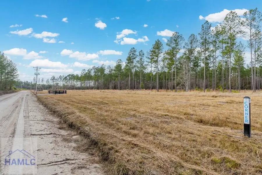 Lot 18 Lanes Church Road, Brooklet, GA 30415 - #2