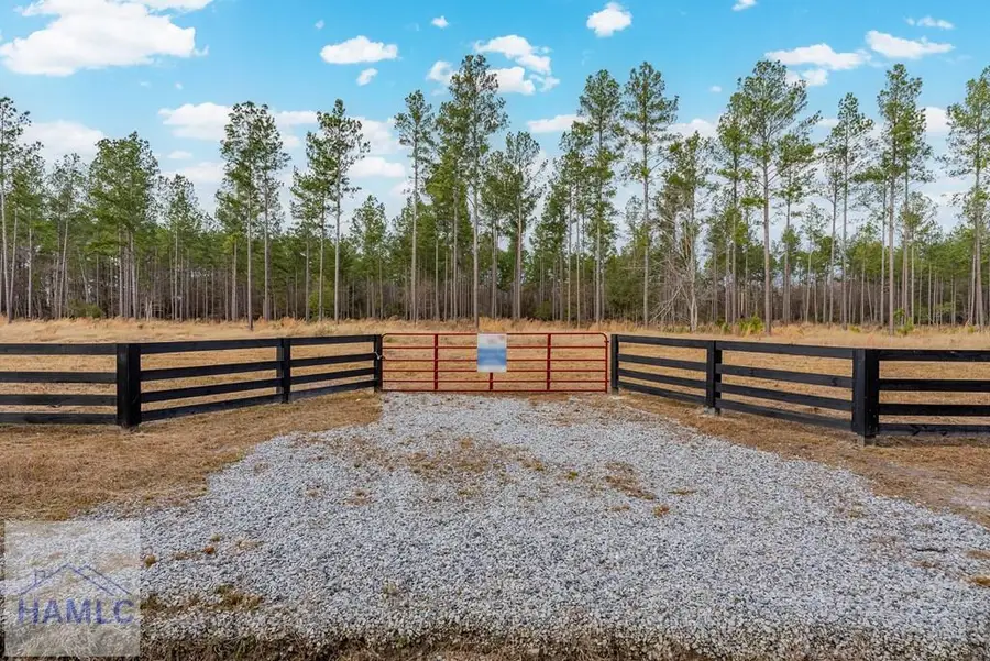 Lot 18 Lanes Church Road, Brooklet, GA 30415 - #3