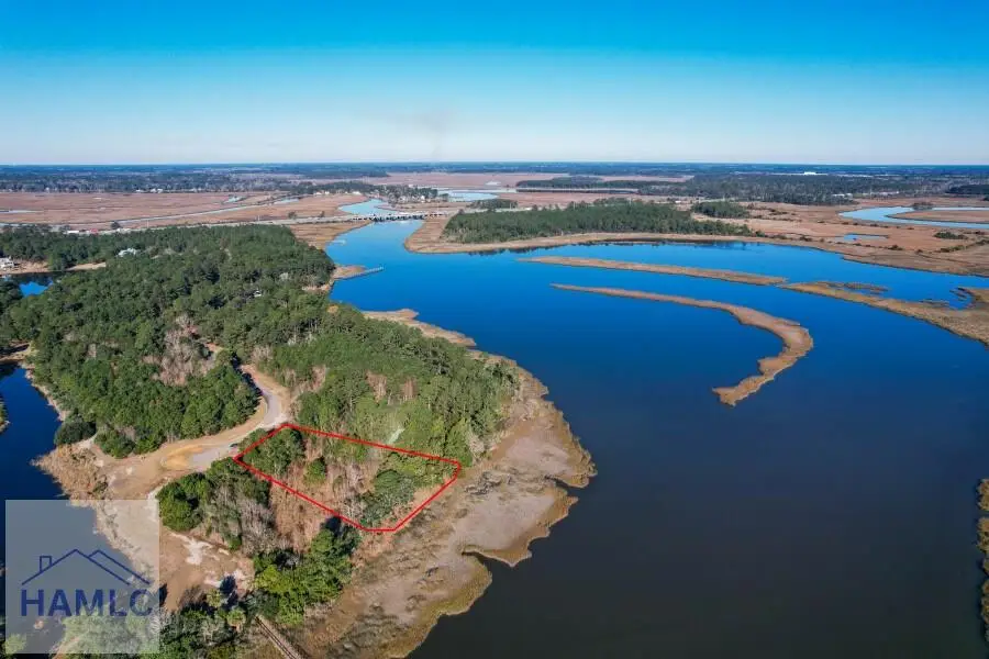 Lot 46 Laughing Gull Hideaway Drive, Midway, GA 31320 - #3