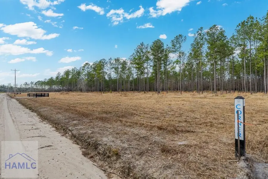Lot 19 Lanes Church Road, Brooklet, GA 30415 - #2
