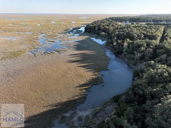 0 Deloach Road, Midway, GA 31320