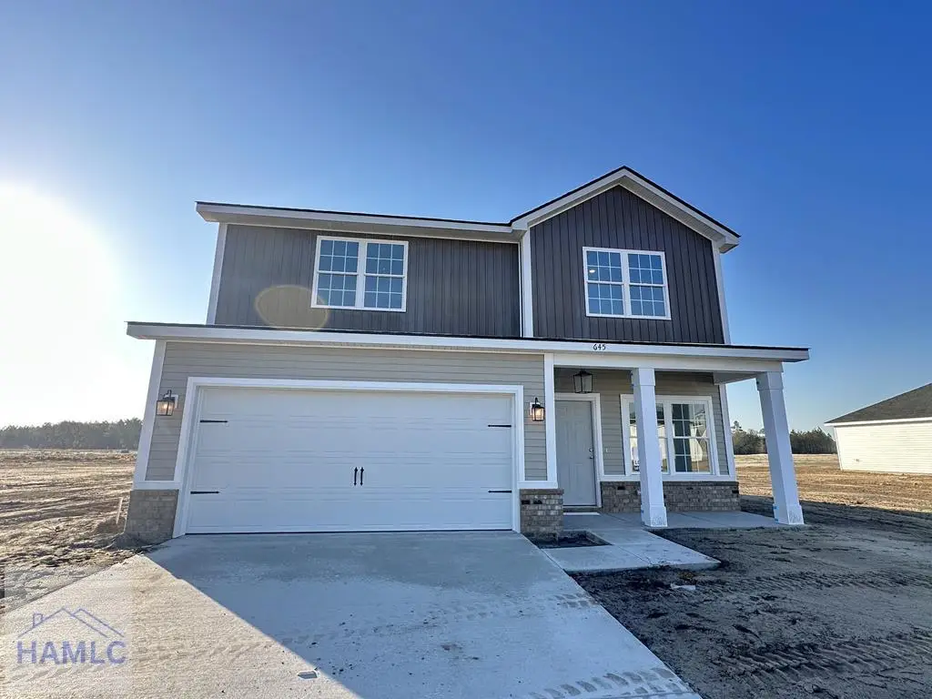 645 Doctor's Creek Road Ne, Ludowici, GA 31316 - #1