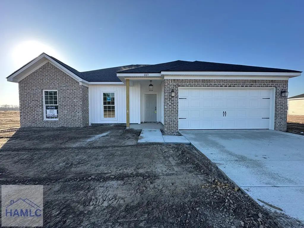 665 Doctor's Creek Road Ne, Ludowici, GA 31316 - #1