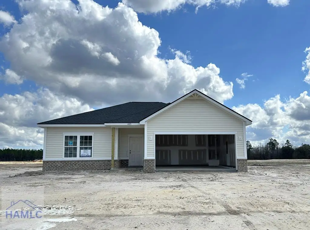 685 Doctor's Creek Road Ne, Ludowici, GA 31316 - #1