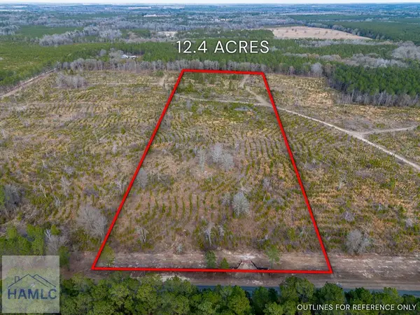 Tract 3 Bell Line Road, Eastman, GA 31023