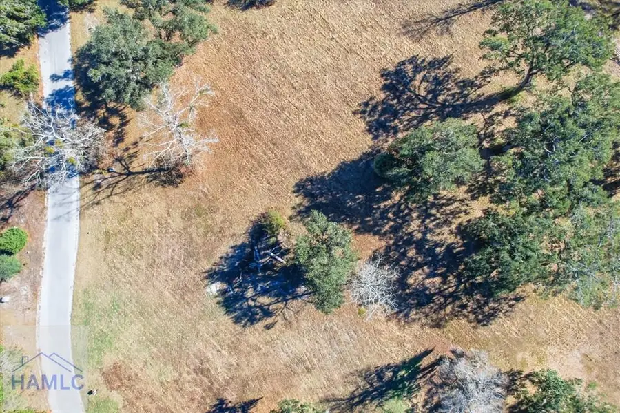 Lot 24 Bermuda Bluff Lane, Midway, GA 31320 - #2