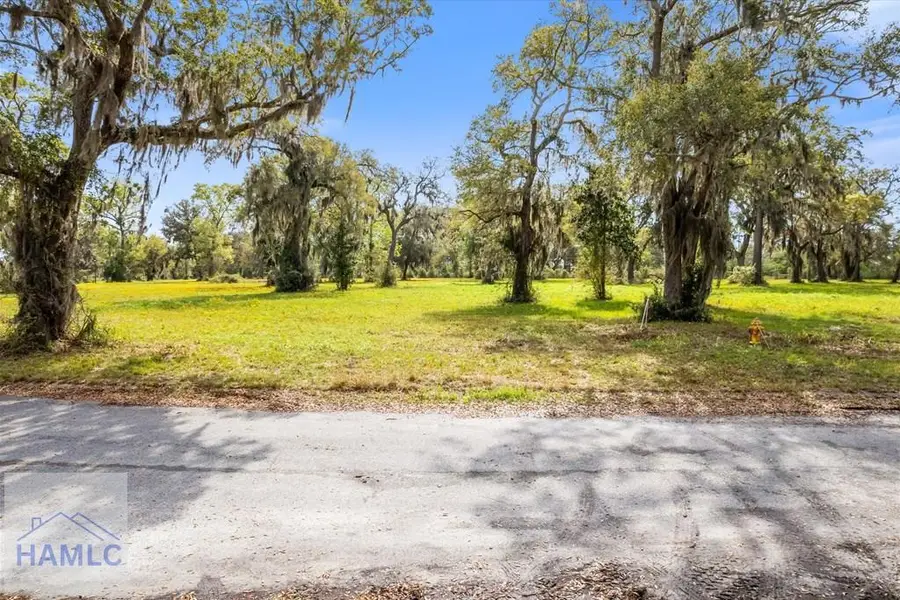 Lot 24 Bermuda Bluff Lane, Midway, GA 31320 - #3