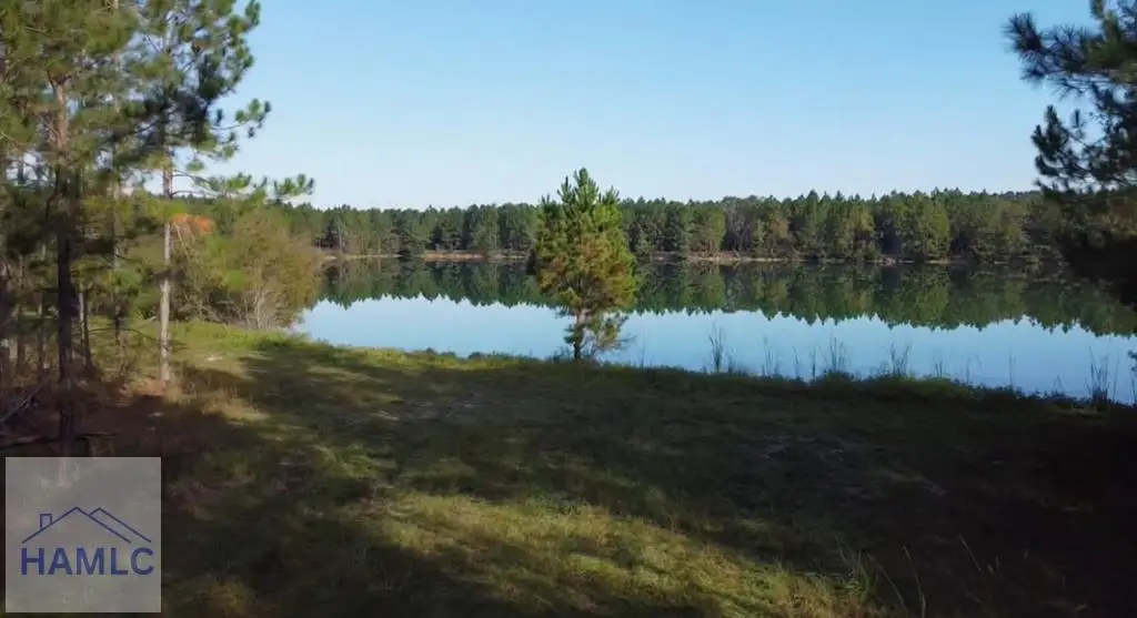 Tract 4 Brentwood Drive, Odum, GA 31555 - #1