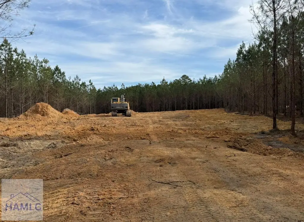 1270 Penny Morris Road, Baxley, GA 31513 - #1