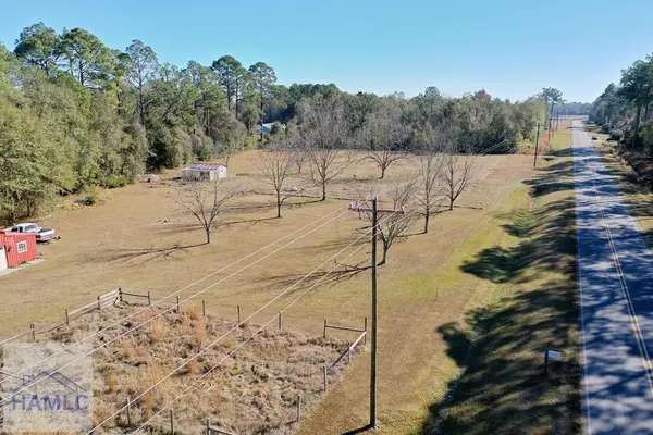 0 Loves Chapel Road, Glennville, GA 30427