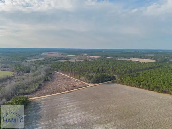 Tract 3 Reddish Road, Odum, GA 31555