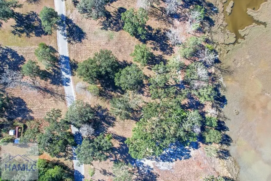 Lot 5 Bermuda Bluff Lane, Midway, GA 31320 - #3