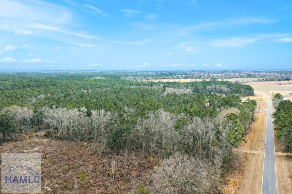 Tract 2 Tank Road, Odum, GA 31555 - Image #1