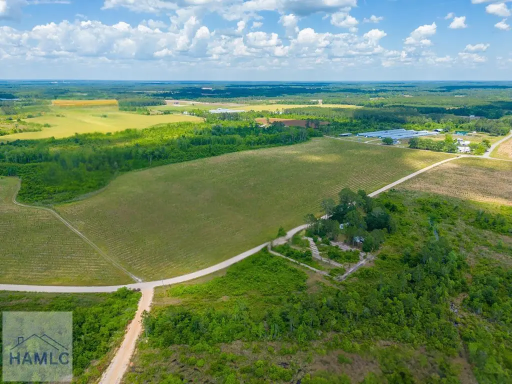 Tract 10 Sellers Road, Baxley, GA 31513 - #1
