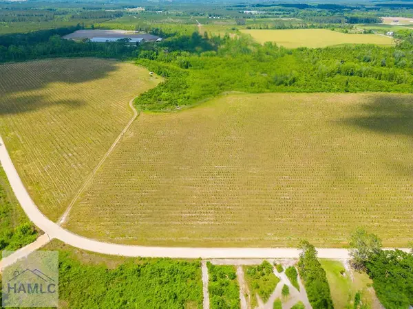 Tract 9 Sellers Road, Baxley, GA 31513