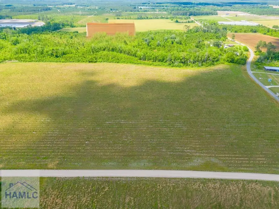 Tract 12 Sellers Road, Baxley, GA 31513 - Image #2