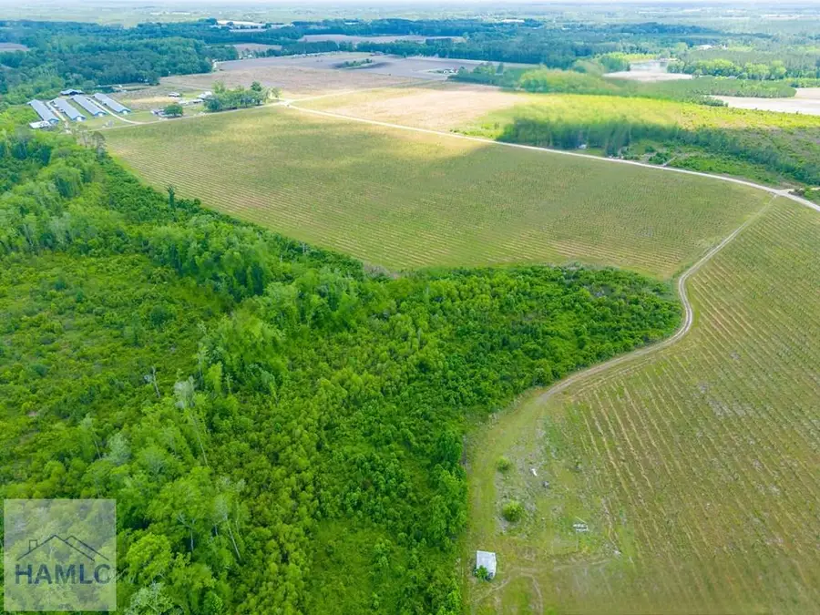 Tract 19 Sellers Road, Baxley, GA 31513 - #2