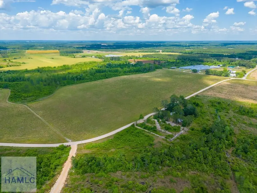 Tract 19 Sellers Road, Baxley, GA 31513 - #3