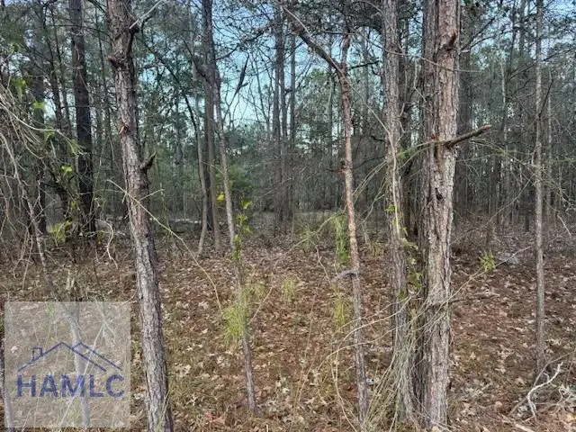 0 Pelican Cove Road, Midway, GA 31320 - Image #2