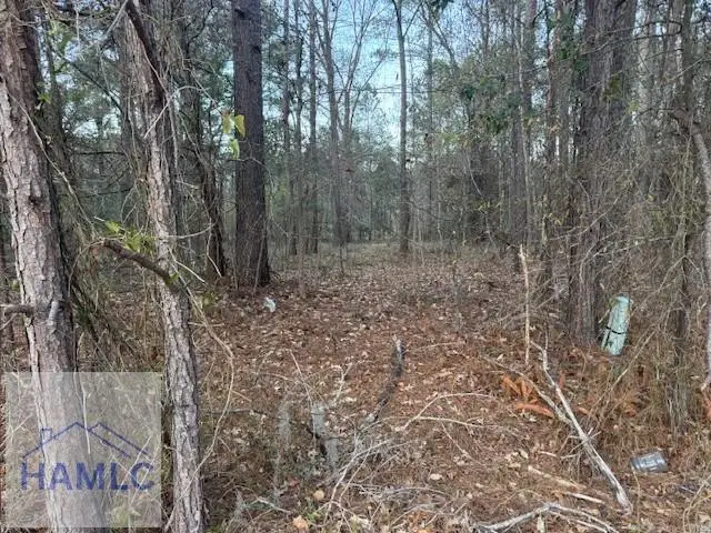 0 Pelican Cove Road, Midway, GA 31320 - Image #3