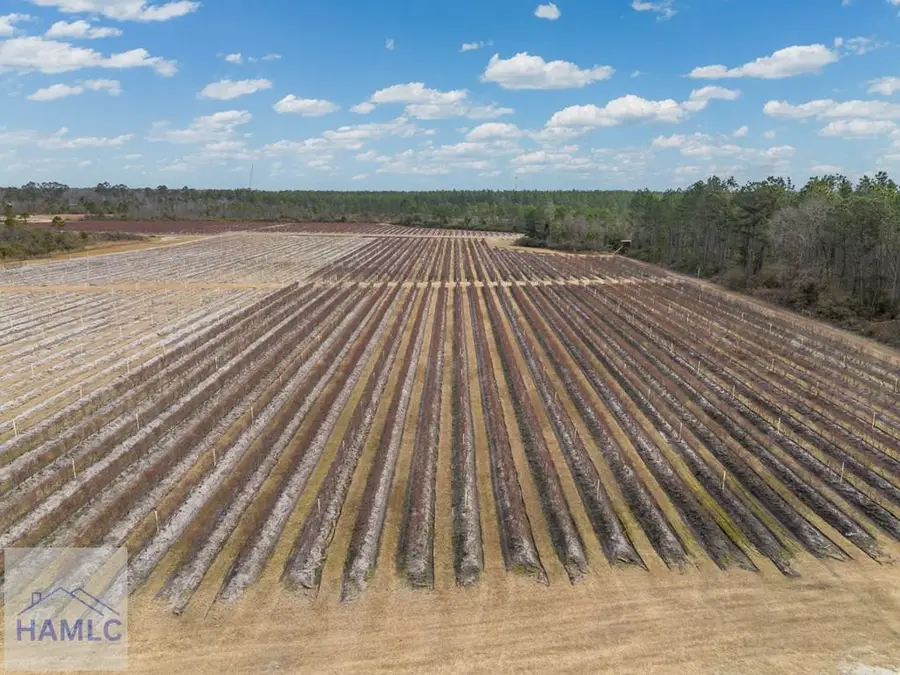 367 Whippoorwill Road, Nicholls, GA 31554 - #3