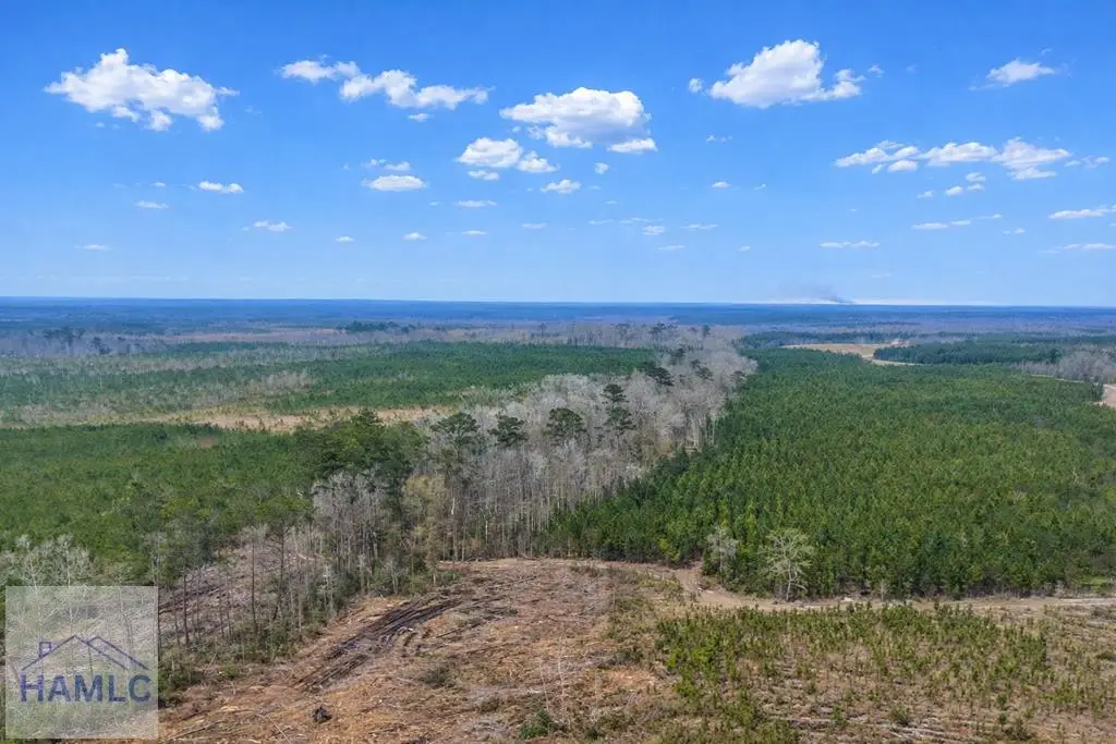 0 Highway 121, Glennville, GA 30427 - #1