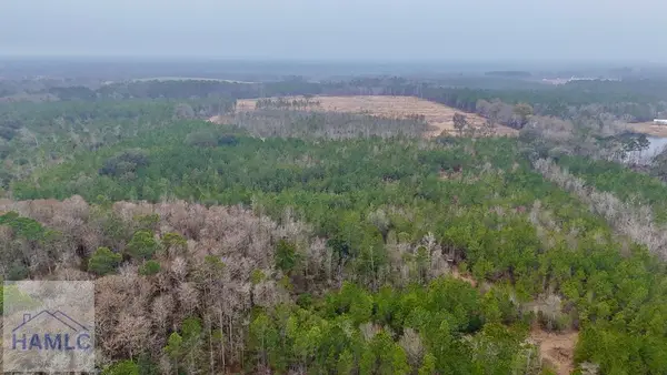 0 Edith Tillman Road, Glennville, GA 30427