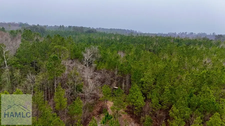 0 Edith Tillman Road, Glennville, GA 30427 - #2