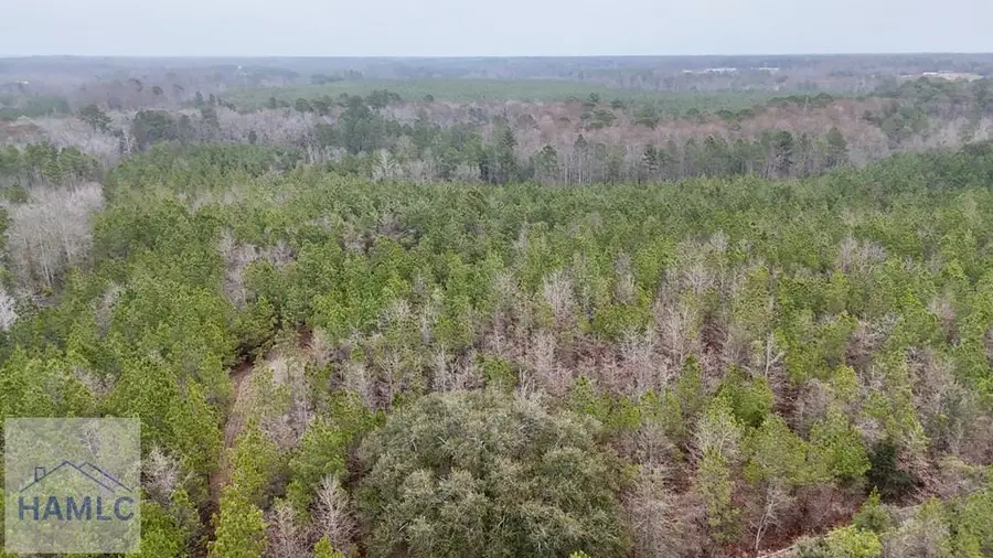 0 Edith Tillman Road, Glennville, GA 30427 - #3