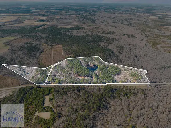 22701 Highway 129, Cobbtown, GA 30420