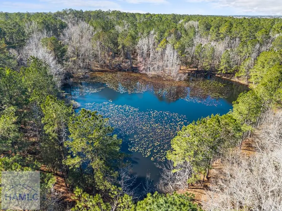 22701 Highway 129, Cobbtown, GA 30420 - #2