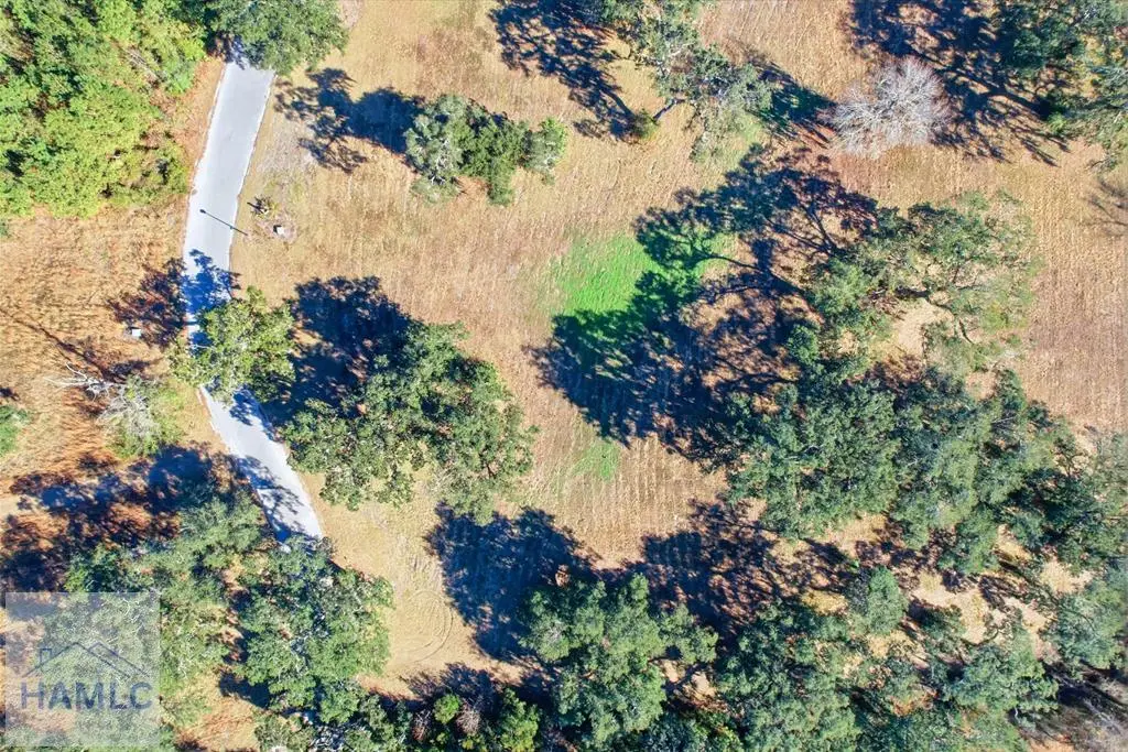 Lot 27 Bermuda Bluff Lane, Midway, GA 31320 - #1