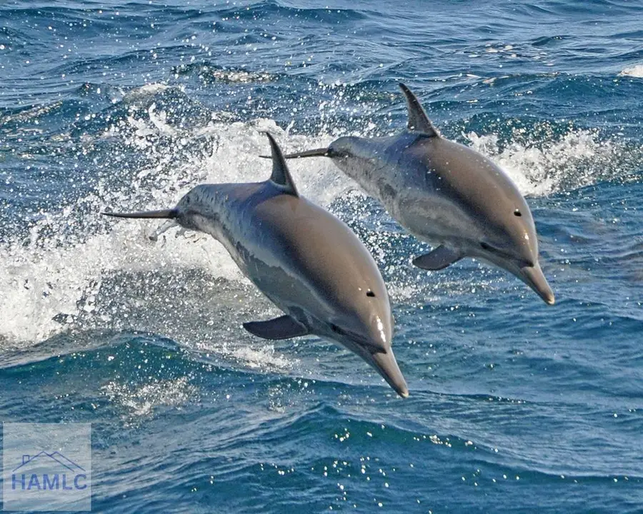 226 Billy Harris Point, Midway, GA 31320 - #3