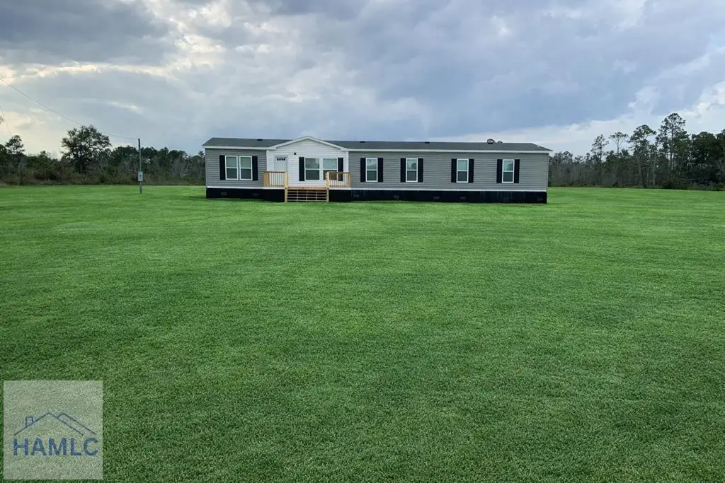 Lot 1 Bradwell Dunham Road, Ludowici, GA 31316 - #1