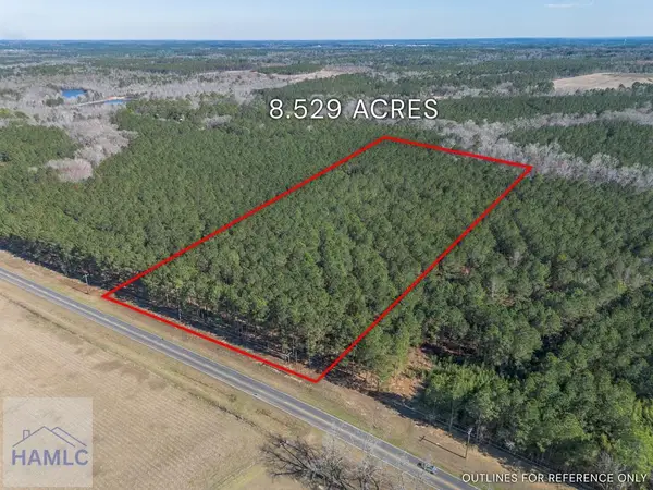 Lot 2 Ben Giddens Road, Eastman, GA 31023