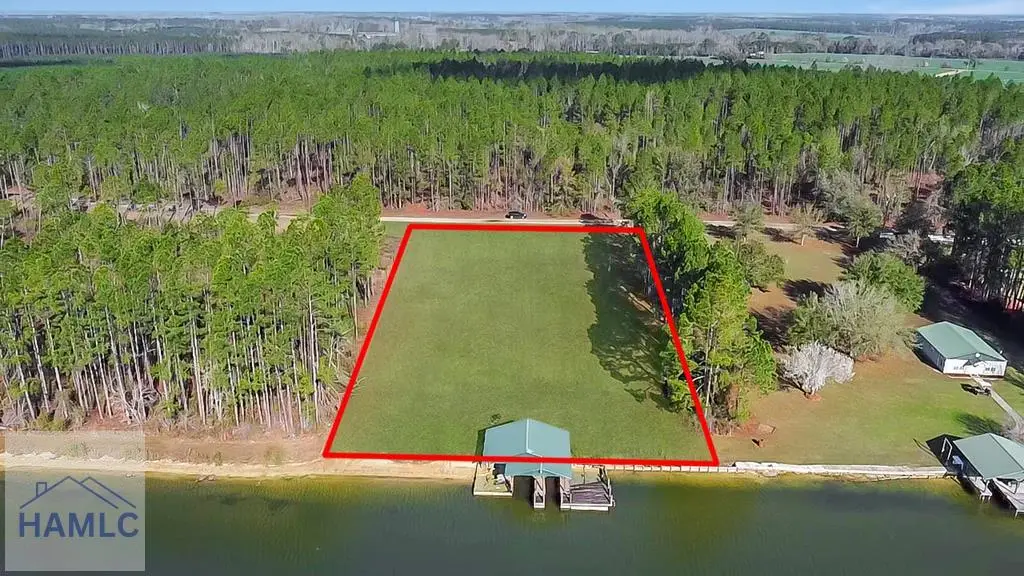 00 Jimmie Ree Lane, Bristol, GA 31518 - #1